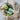 Ultimate Greens Bundle