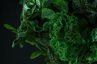 The Leafy Greens Benefits You Need to Know About