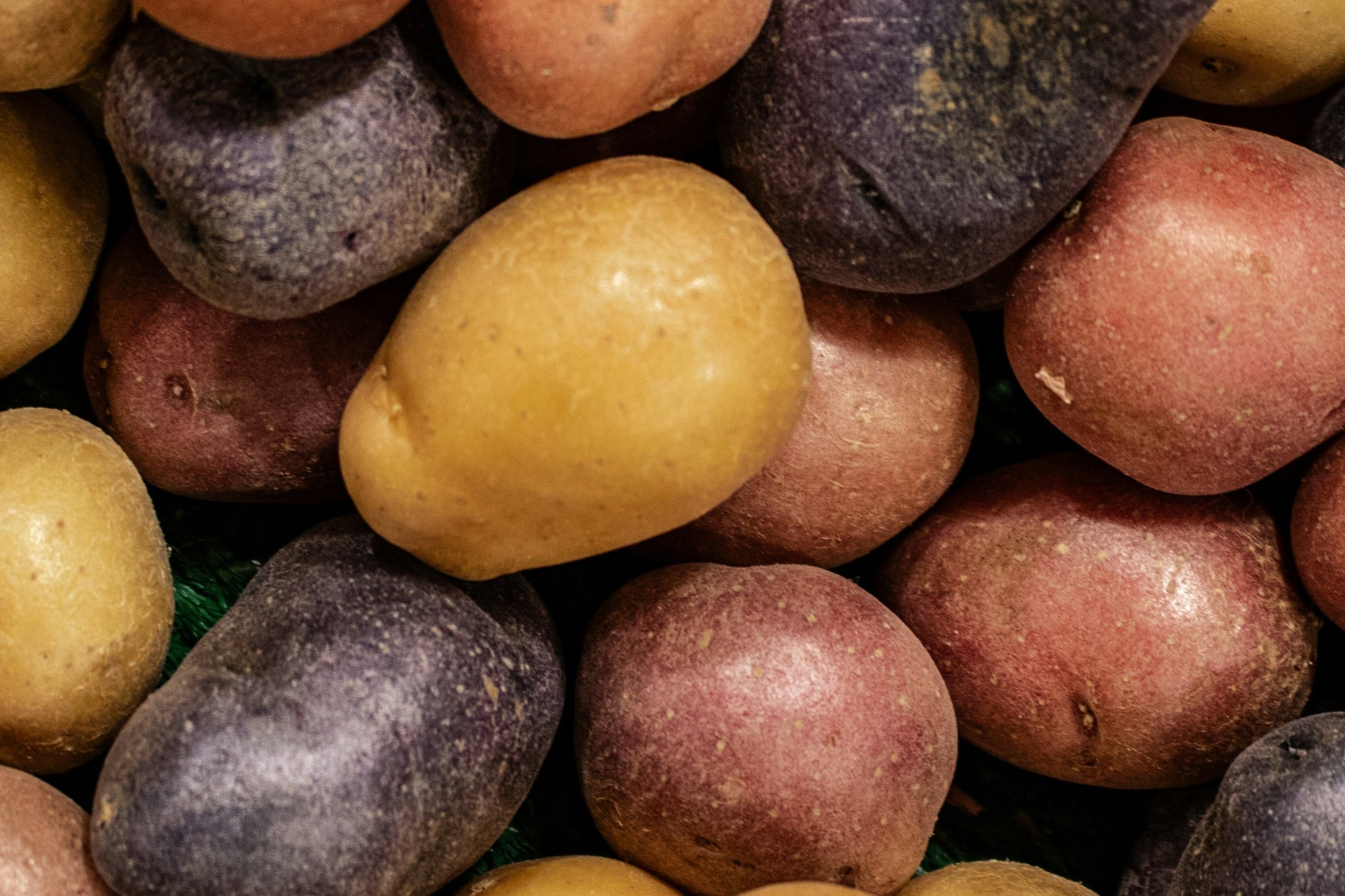Regular Potatoes Sweet Vs Regular Potatoes: Which is Healthier?