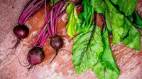 The Benefits of Beetroot 