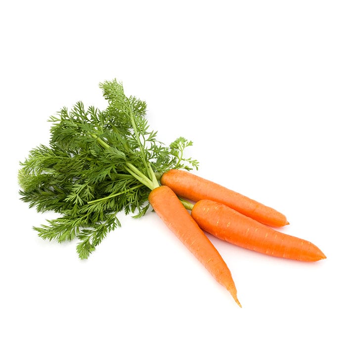 Clean Carrot 250ml – PRESS Healthfoods