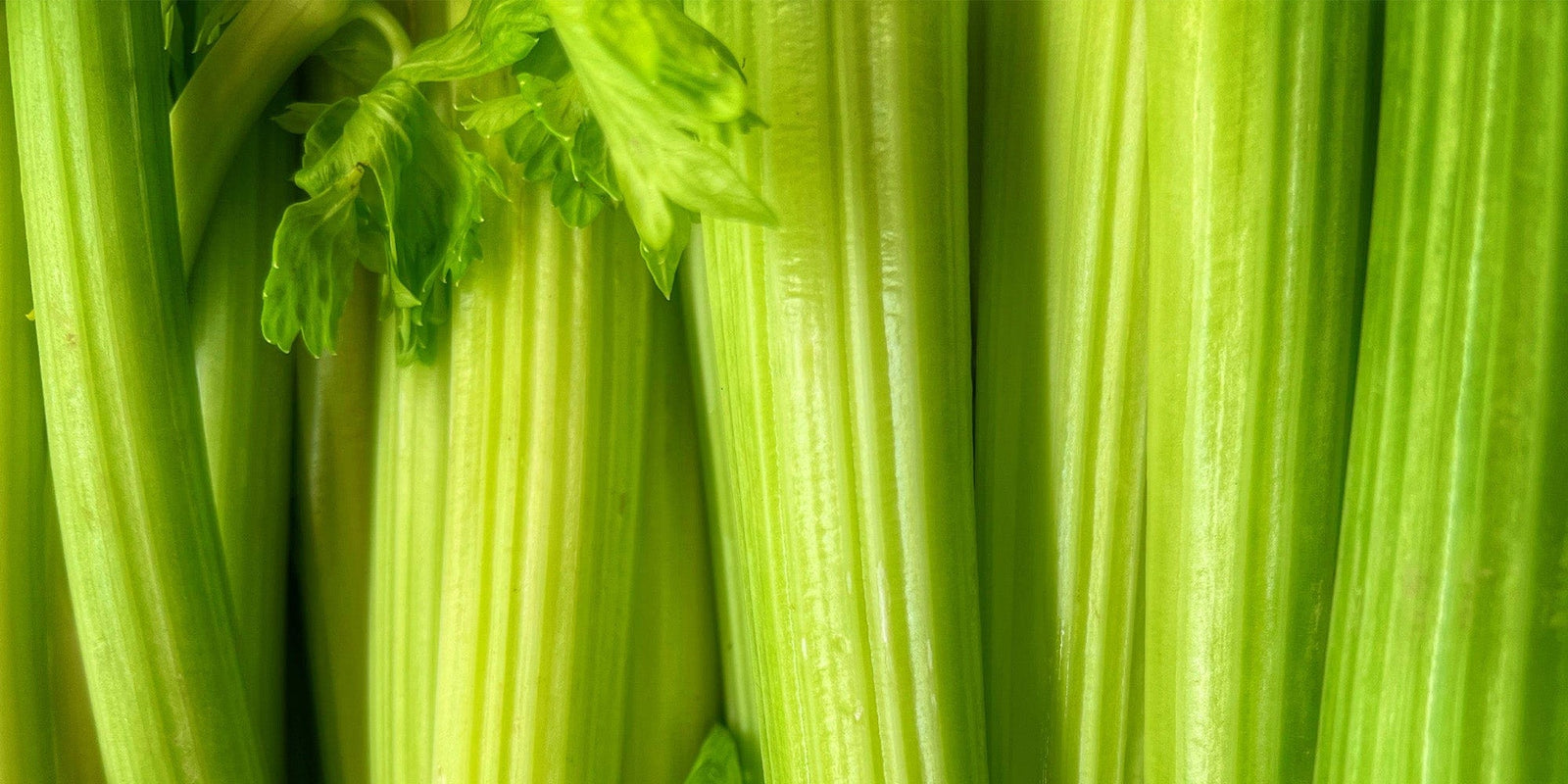 Daily Celery Juice 250ml Cold Pressed Celery Juice PRESS Healthfoods