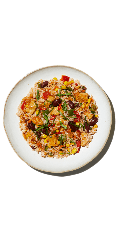 Mexican Rice PRESS Healthfoods