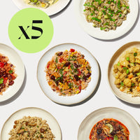 Plant Based Meal Bundle 5 Pack