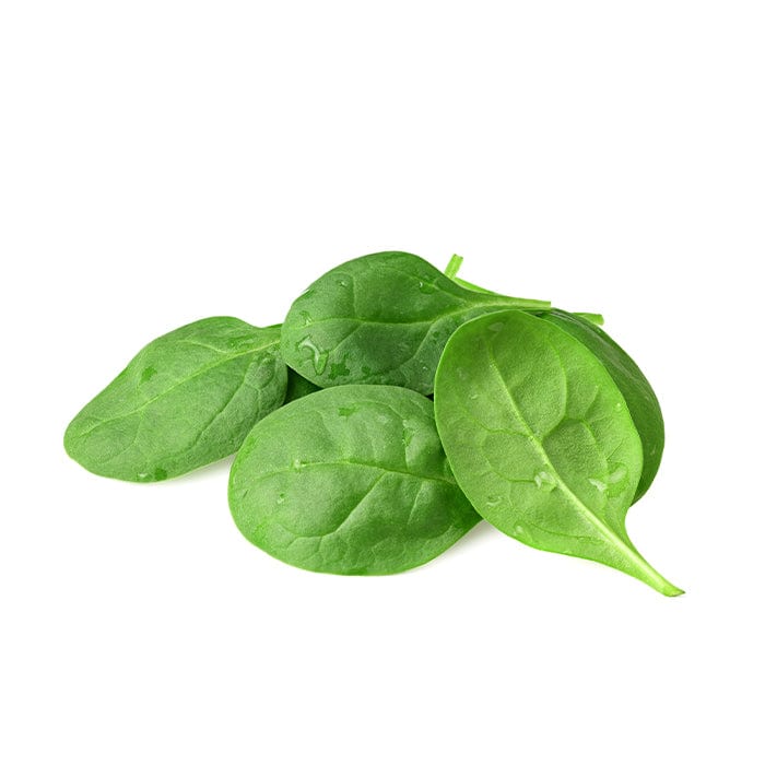 Daily Celery Juice 250ml Cold Pressed Celery Juice PRESS Healthfoods