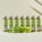 Daily Celery Bundle 250ml