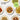 Plant Based Meal Bundle